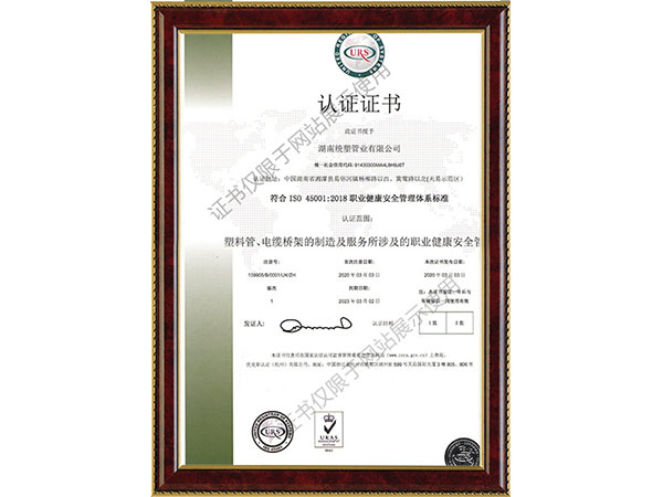 職業(yè)健康體系證書